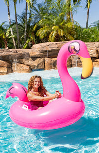 Thumbnail for Flamingo Flyer Motorized Pool Float Cruiser