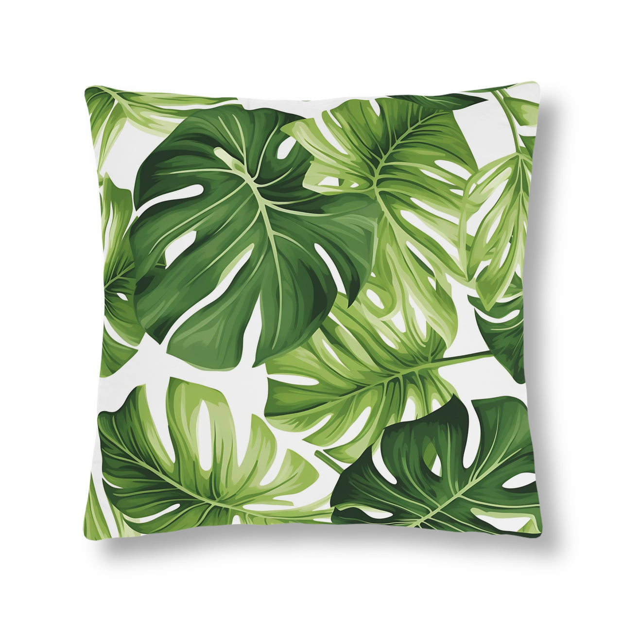 Freddy Monstera