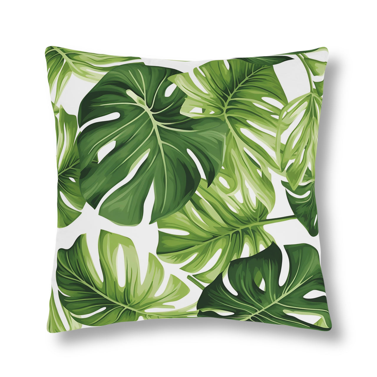 Freddy Monstera