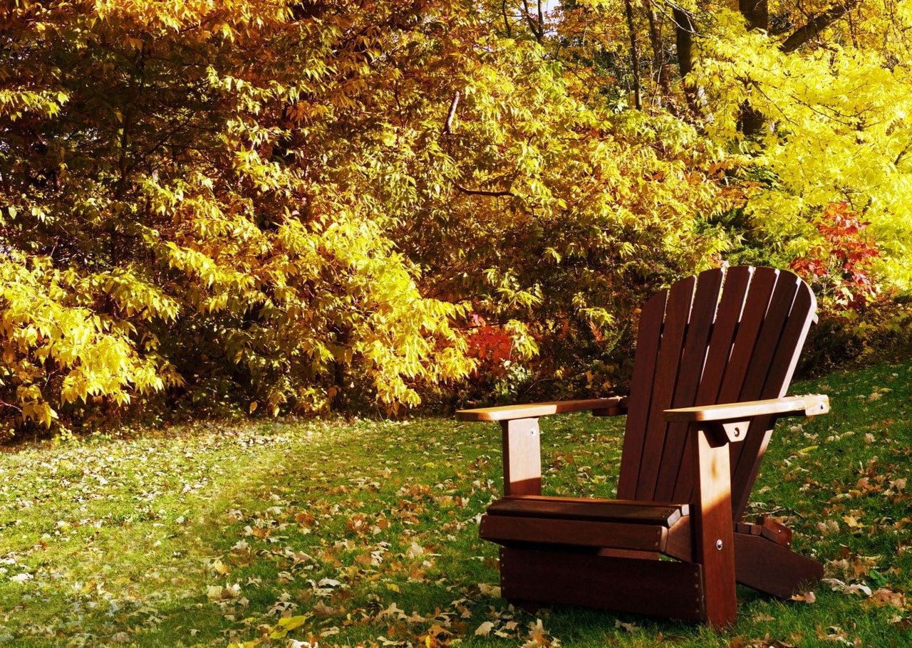 Wooden Royal  Adirondack Chair Set of 4