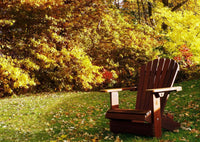 Thumbnail for Wooden Royal  Adirondack Chair Set of 4