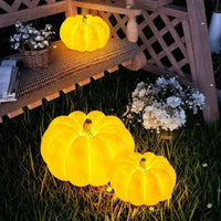 Thumbnail for Indoor & Outdoor Pumpkin Lantern-0