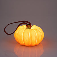 Thumbnail for Indoor & Outdoor Pumpkin Lantern-3