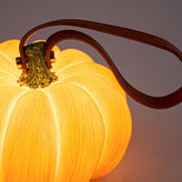 Thumbnail for Indoor & Outdoor Pumpkin Lantern-4
