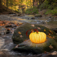 Thumbnail for Indoor & Outdoor Pumpkin Lantern-1